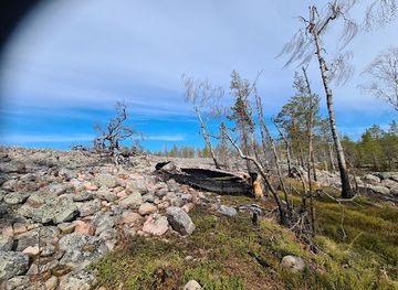 sweden/bjorkliden/attraction/balingeberget