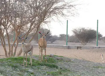 Al Saleel National Park