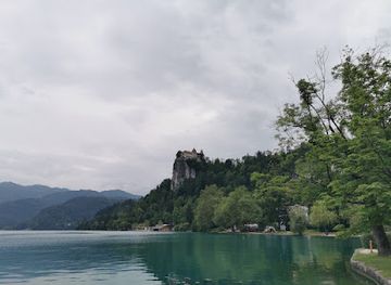 austria/carinthia/attraction/the-lonely-tree
