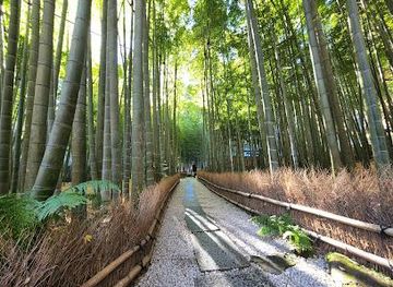 japan/tokyo/attraction/hokoku-ji