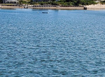 massachusetts/barnstable-county/attraction/hyannis-whale-watcher-cruises