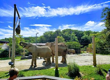 Cleveland Metroparks Zoo