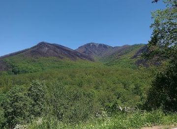 tennessee/pigeon-forge/attraction/bullhead-quiet-walkway