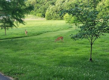 missouri/cape-girardeau/attraction/cape-woods-conservation-area