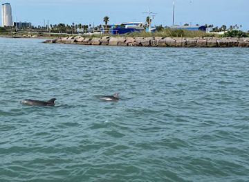 texas/padre-island-national-seashore/attraction/breakaway-cruises