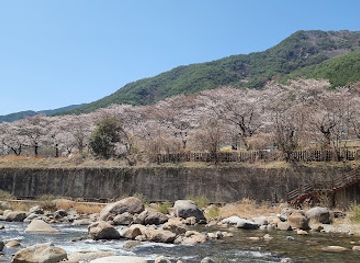south-korea/jirisan-national-park/attraction/hadong-wild-tea-museum