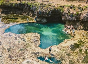 qatar/dukhan-beach/attraction/amani-african-safaris-diani-beach-kenya