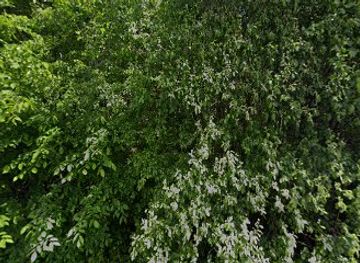 poland/drawa-national-park/attraction/srebrna-gora