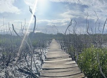 costa-rica/central-pacific/attraction/playa-avellana