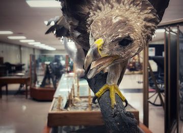 oklahoma/panhandle/attraction/no-man-s-land-museum