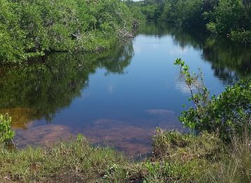 florida/cape-coral/attraction/tom-allen-memorial-butterfly-house