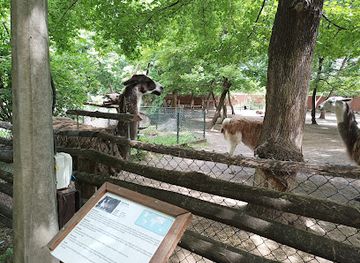 hungary/mecsek/attraction/kecskemeti-vadaskert