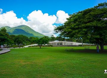 saint-kitts-and-nevis/black-rocks/attraction/malcolm-guishard-recreational-park