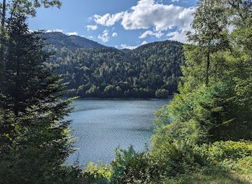 france/vosges-mountains/attraction/tour-du-lac-de-kruth-wildenstein