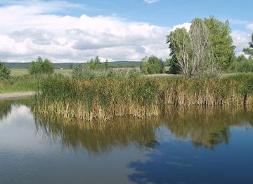 hungary/vertes-mountains/attraction/oreg-to