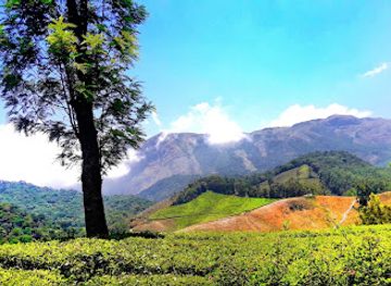 india/munnar/attraction/mount-carmel-basilica-munnar