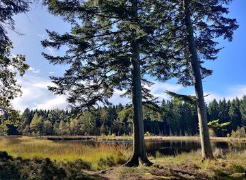 denmark/viborg/attraction/skrikes-plantage