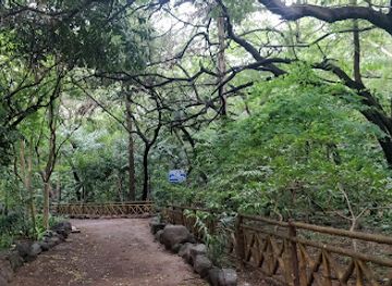 india/mumbai/attraction/mahajan-forest-park