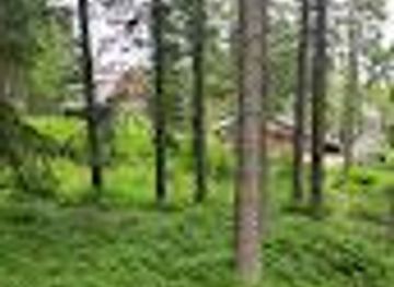 poland/zakopane/attraction/mokry-stawek