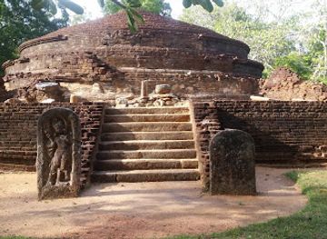 sri-lanka/kandy/attraction/the-island-tours