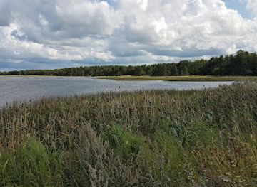 estonia/saaremaa-island/attraction/taaliku-harbour-and-beach