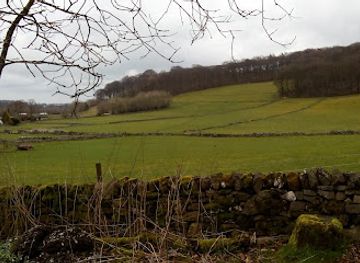 united-kingdom/east-midlands/attraction/go-ape-buxton