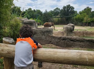 texas/west-texas/attraction/cameron-park-zoo