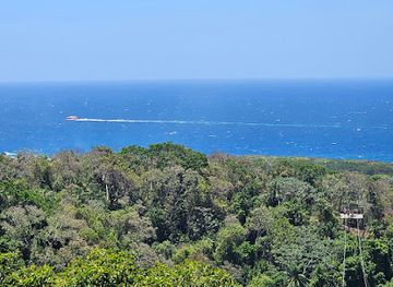 honduras/bay-islands/attraction/south-shore-canopy-zipline