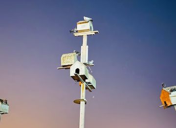 bahrain/muharraq/attraction/hidd-beach