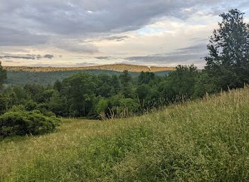 vermont/green-mountains-national-forest/attraction/west-rutland-art-park