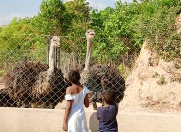 zambia/kitwe/attraction/valerie-s-game-ranch