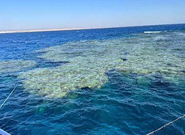 egypt/red-sea-coast/attraction/abu-dabbab-iii