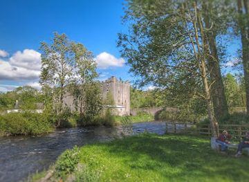 ireland/county-carlow/attraction/milford-mill