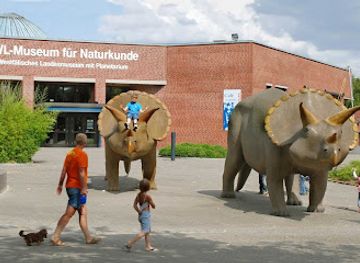 germany/munster/attraction/lwl-museum-of-natural-history-with-planetarium