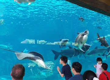 S.E.A. Aquarium