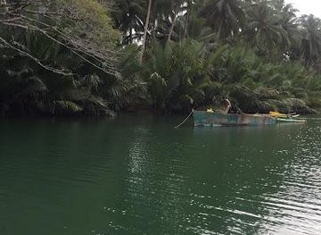philippines/bohol/attraction/abatan-river