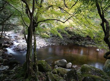 japan/shikoku/attraction/nametoko-gorge