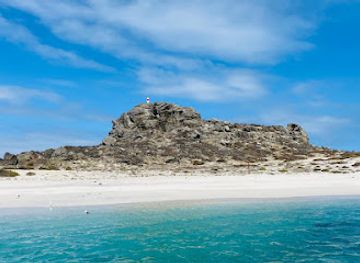 chile/coquimbo-region/attraction/isla-damas