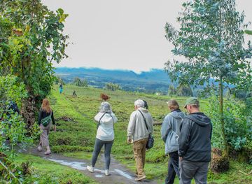 rwanda/gishwati-mukura-national-park/attraction/gasura-best-tourism-village