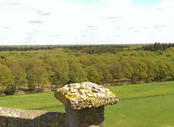 netherlands/friesland/attraction/belvedere-toren