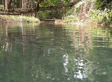 jamaica/port-maria/attraction/dennis-spring
