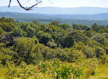 kenya/north-eastern-province/attraction/kakamega-forest