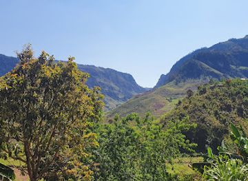 madagascar/ranomafana-national-park/attraction/pays-zafimaniry