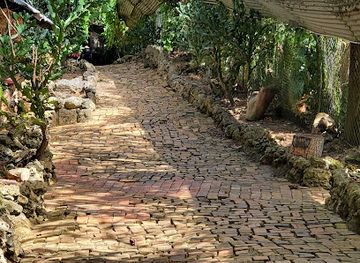 barbados/south-coast/attraction/barbados-wildlife-reserve