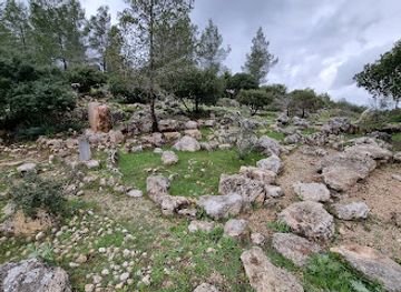israel/jerusalem-district/attraction/japanese-garden