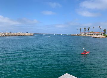 california/oceanside/attraction/sea-lion-island