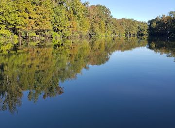 mississippi/desoto-national-forest/attraction/delta-national-forest