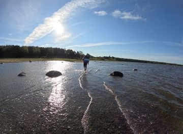 estonia/lahemaa/attraction/alvi-saar