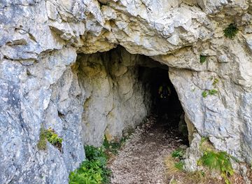 slovenia/zasavje/attraction/bornov-tunel