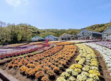 japan/kanto/attraction/tochigi-flower-center